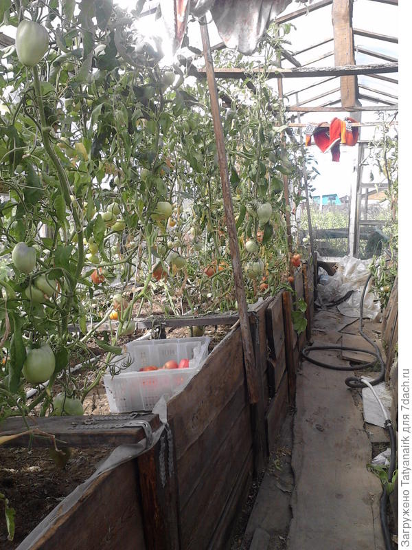 Из рам строили, крышу поликарбонатом накрывали.