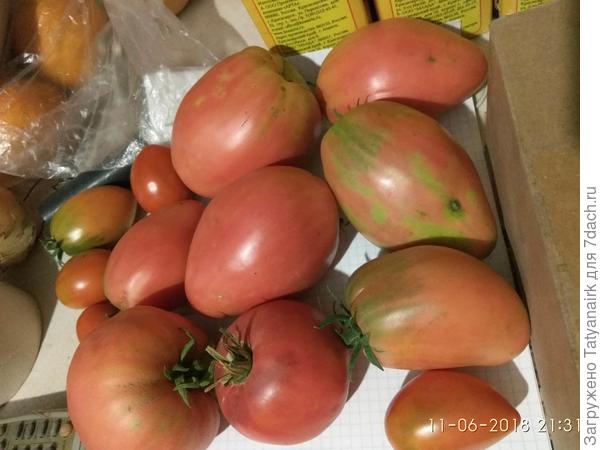 Начало июня