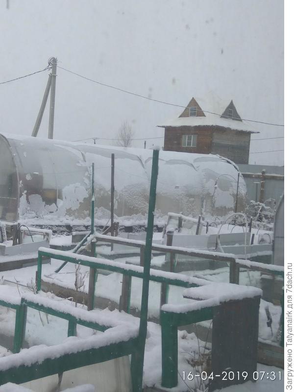 А у нас сошел и опять насыпался