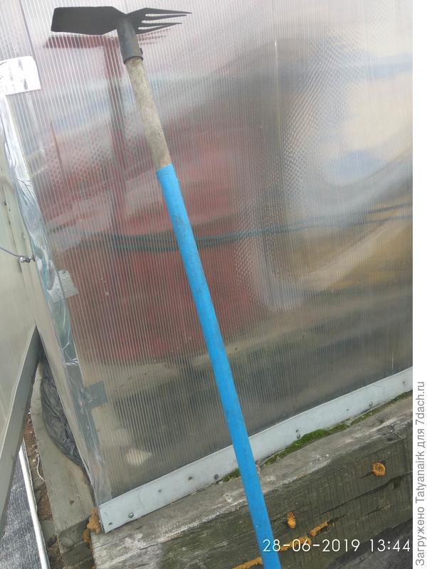 Моя помощница- тяпочка.