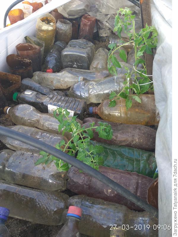 Бутылки с водой нагреваются днём и греют землю ночью