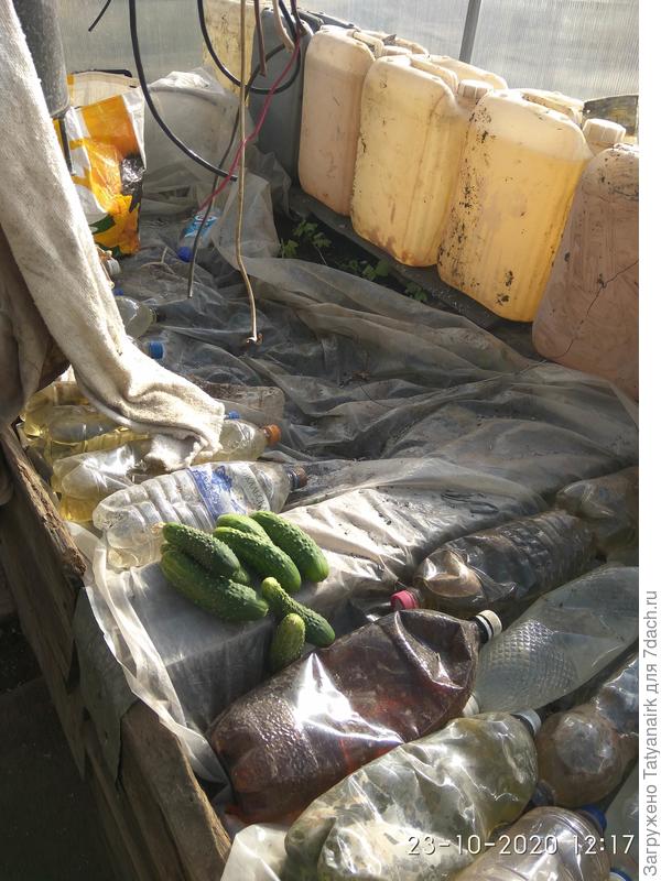 Всё последние! Надо готовиться к следующему сезону