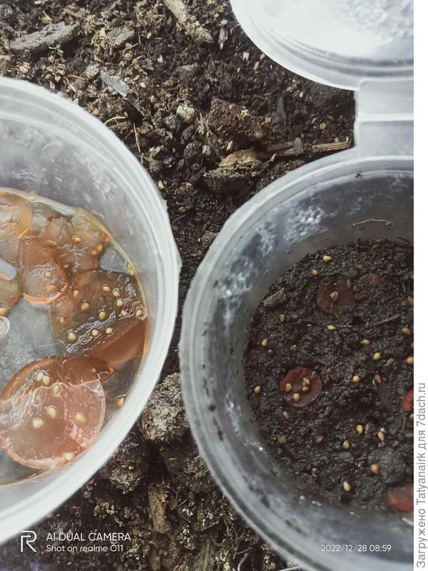 Пластики гидрогеля на земле резко уменьшились...