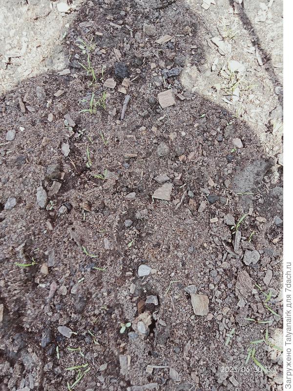 Вот такая 30-го июня.