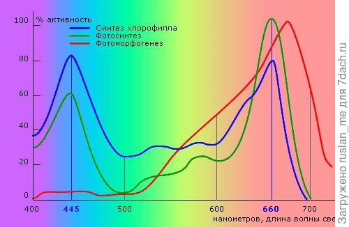 спектры поглощения растением.