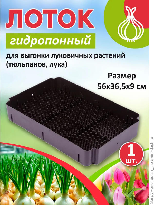 гидропоника