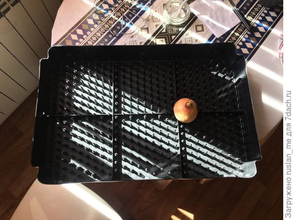 купленный лоток