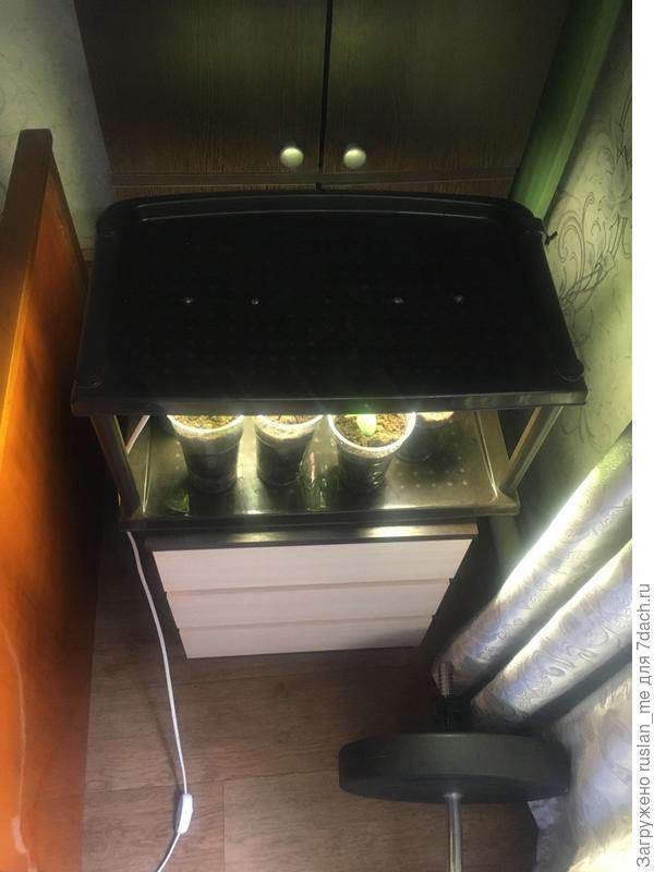 У меня несколько лет лежит самая простая полиэтиленовая обувница-этажерка, я решил, прикрутить к ней накладные светильники