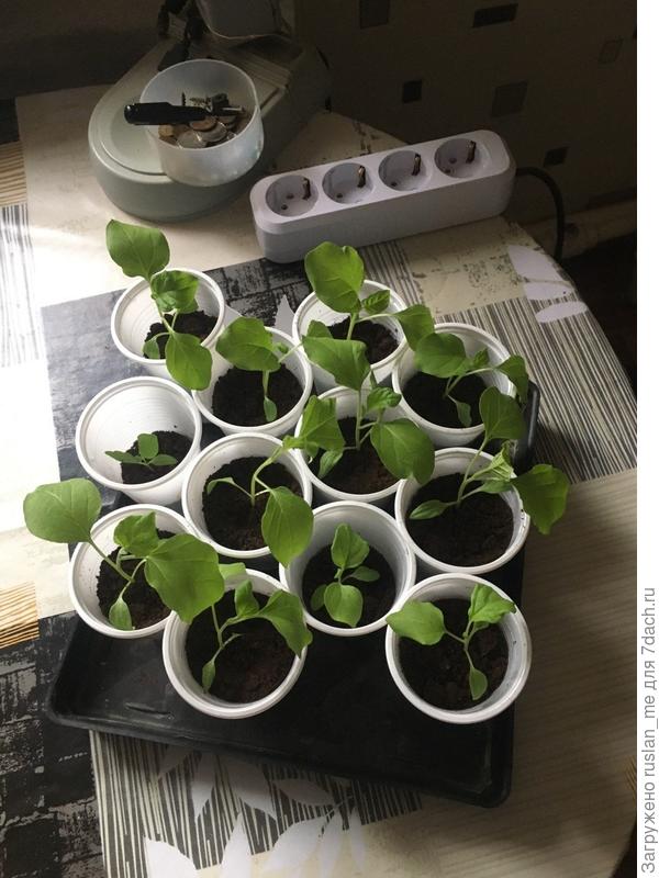 Фотка 007 -- зечем я тогда возился с кассетницами...