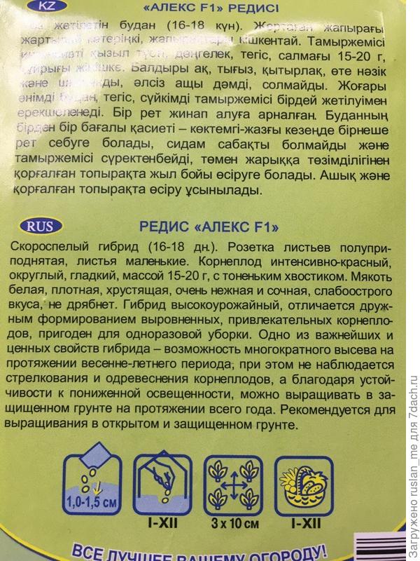 Я еще нет, и, я правильно понимаю, что прям 18 дней после всходов, и вот те: корнеплод в салат?