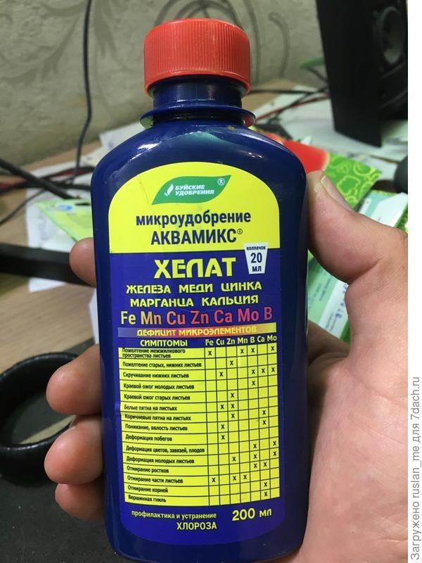 Фейс