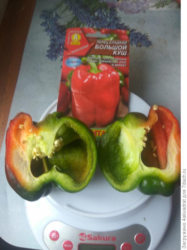 Он же в разрезе.