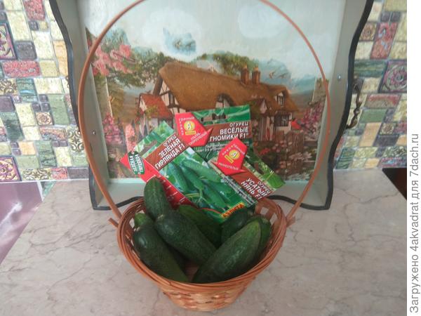 Корзинка с огурцами от Аэлиты.