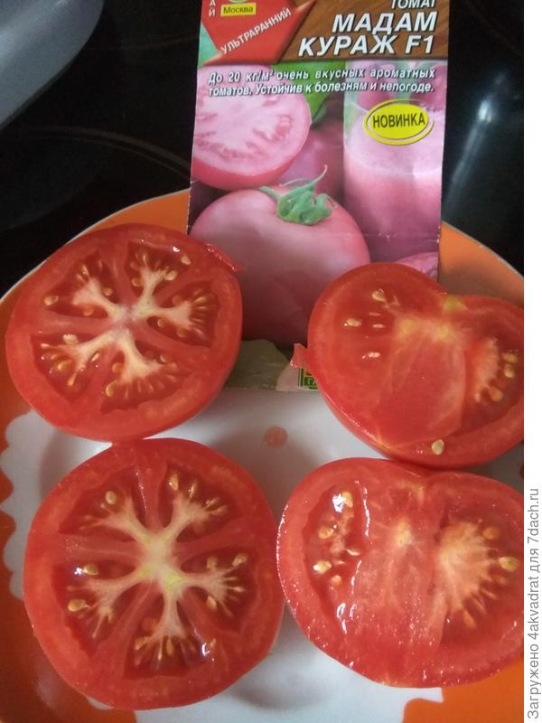 Они же в разрезе.