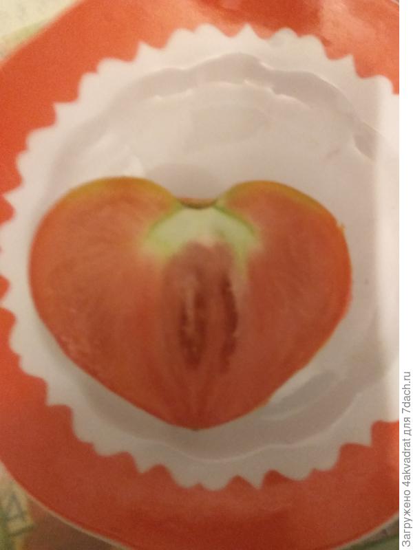 Фото в разрезе