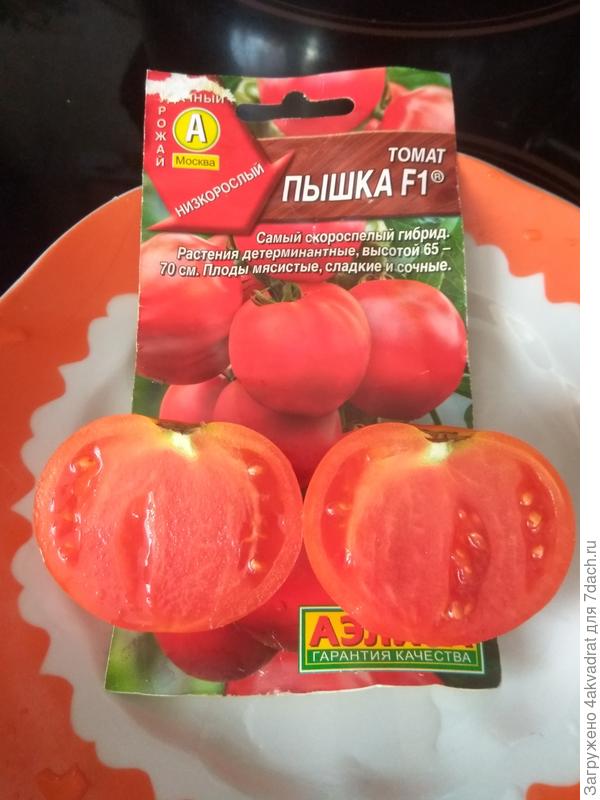 И опять разрез, но другой.