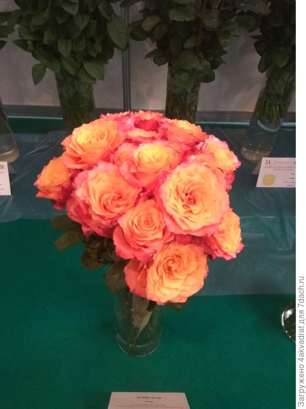 Фото с выставки 2