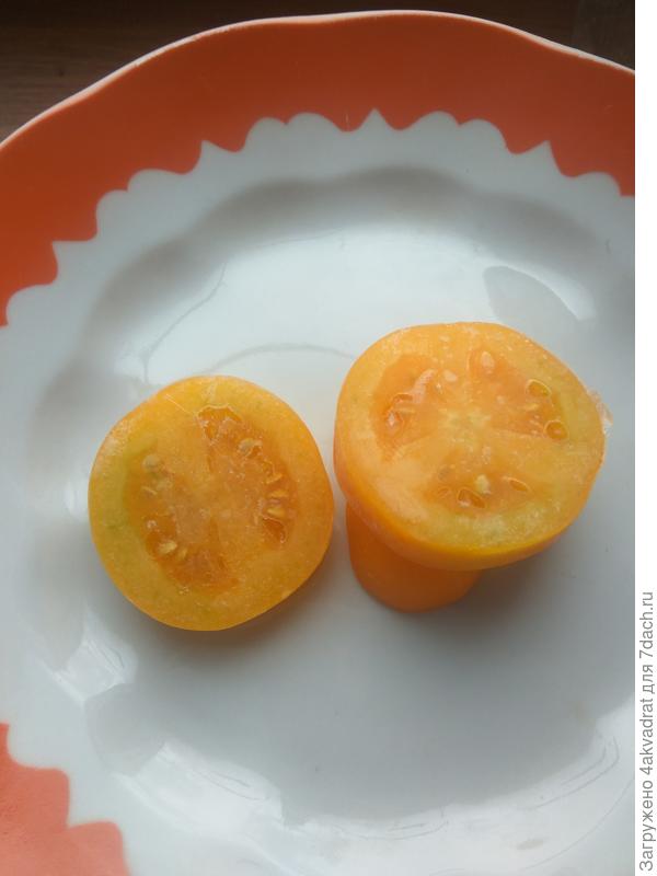 Пальмира (достала из морозилки)