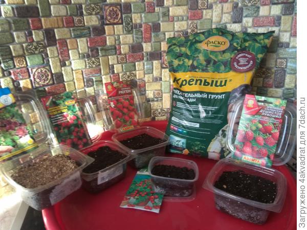 Первые семена 2019 года посеяны