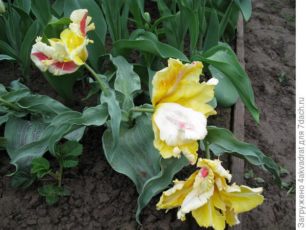 9 мая 2012 года