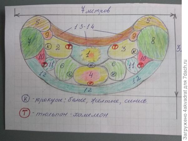 Схема цветника