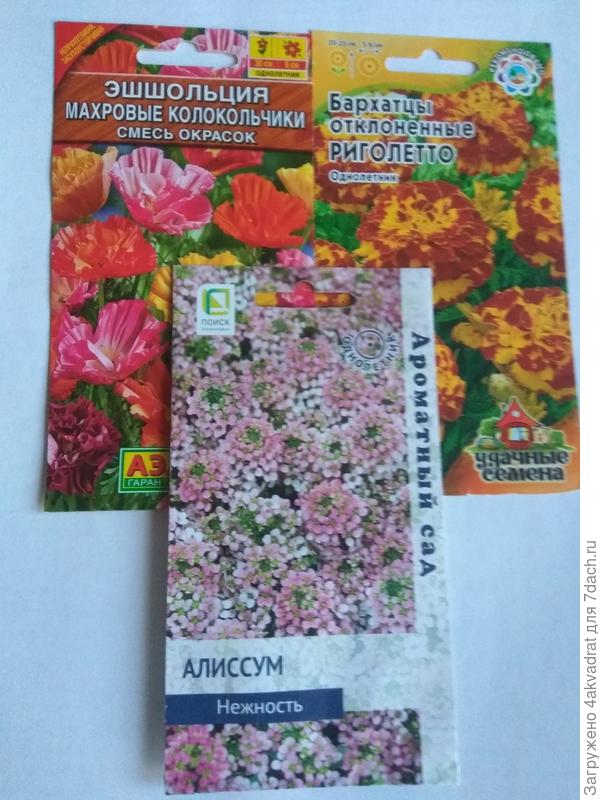 Семена для посева