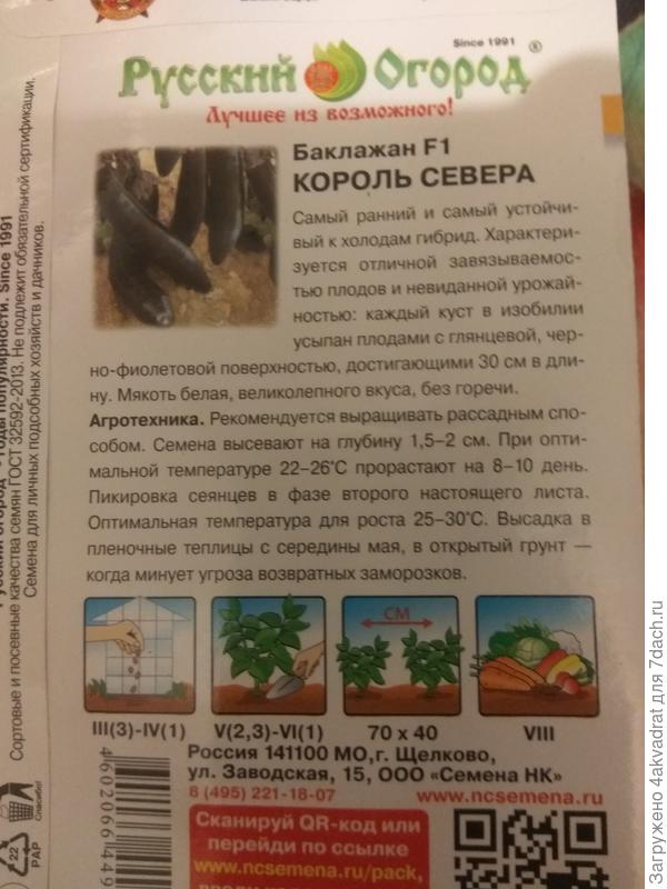 Баклажан Король Севера Отзывы Фото