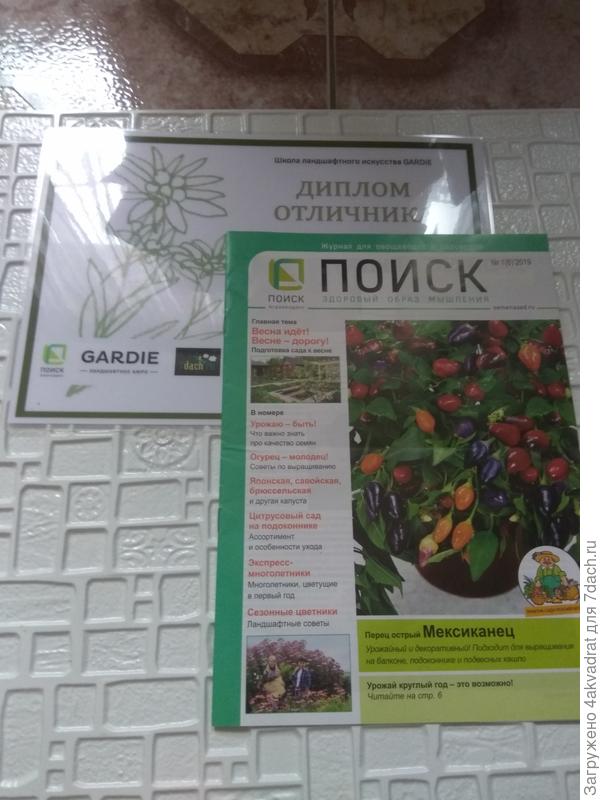 Журнал