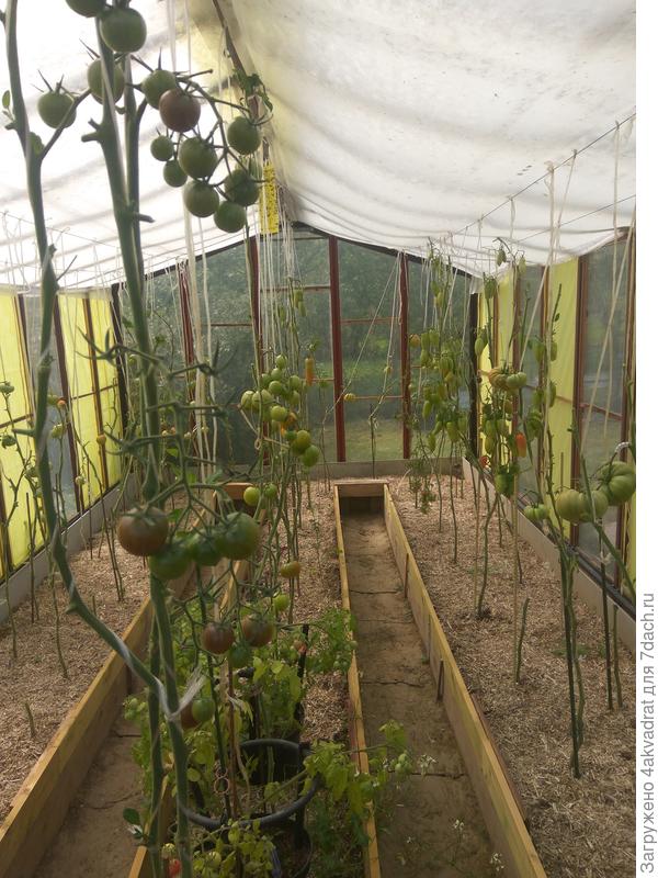 После стрижки.