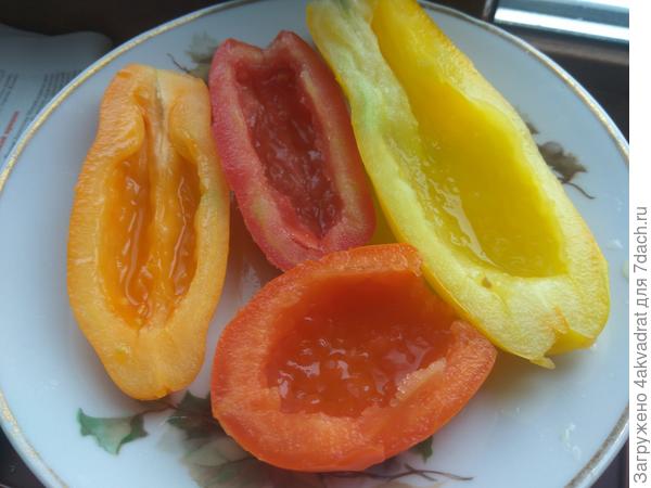 Слева направо: Пальмира, Сан-Марцано, Бананчик, а внизу - Елисей (он ярко-оранжевый).