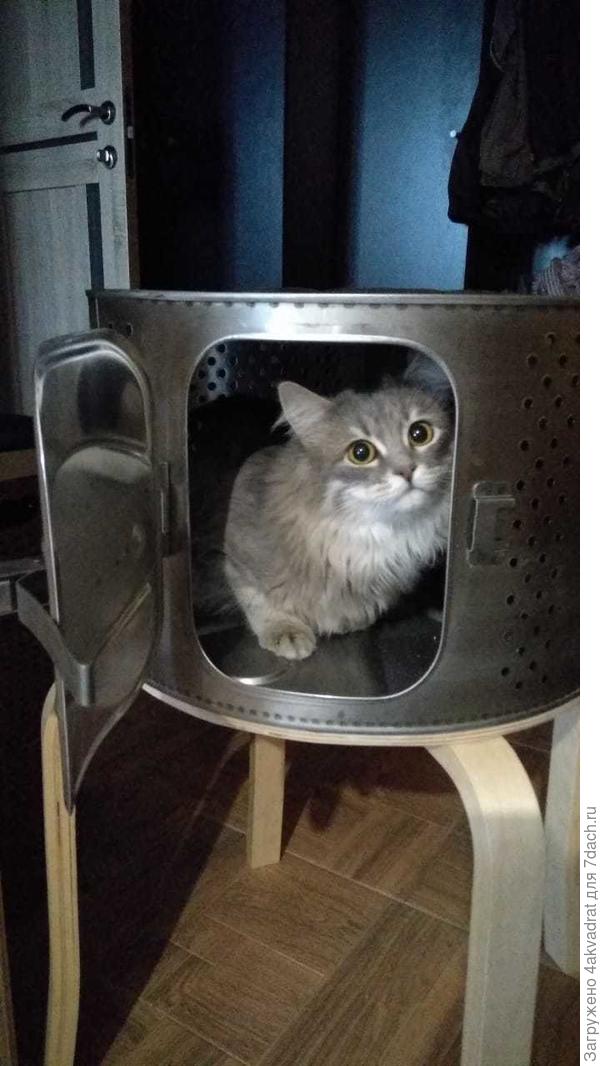 А это главный "приемщик-испытатель", Ксюня одобрила и нашла четвертое применение конструкции - "домик для кошки-непоседы".
