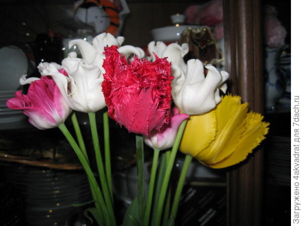 С началом тестирования и первым днем календарной весны.