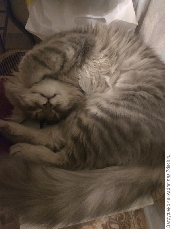 Умаялись, бегаючи-то