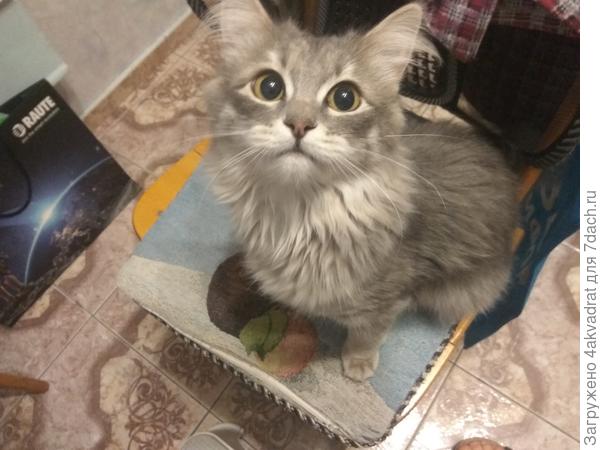 Это наша Ксюня