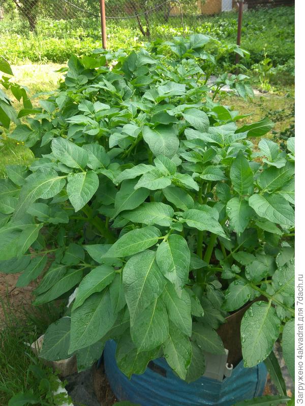 фото 17 июня прошлого года