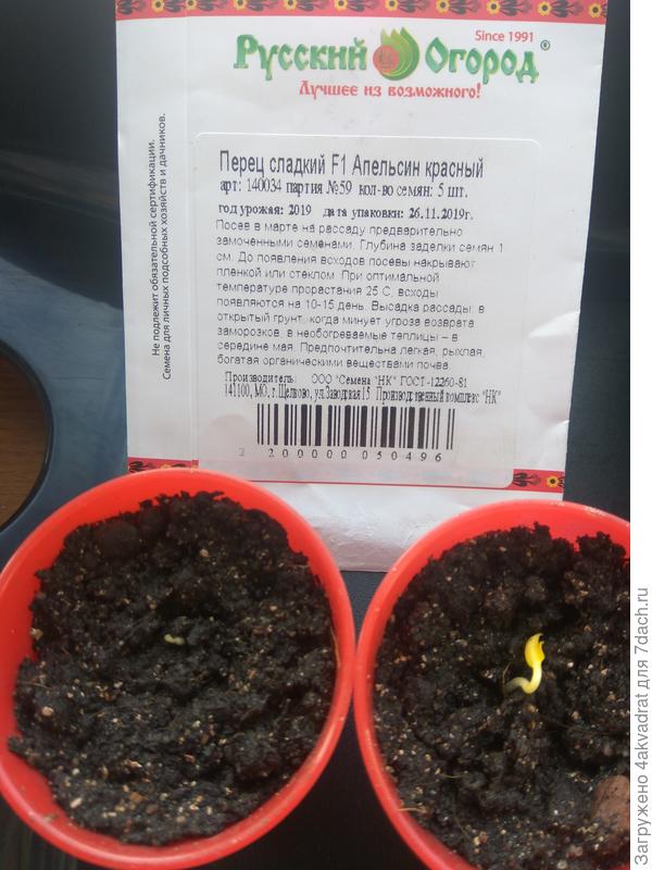 Первые два.