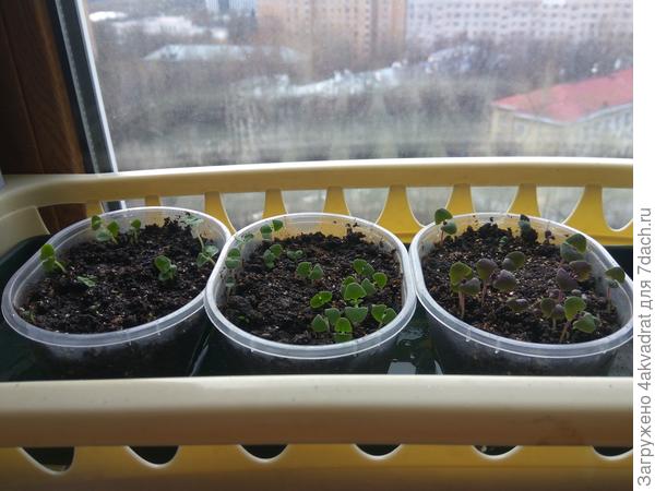 Мне много не надо, поэтому я их "хорошо" прорядила.