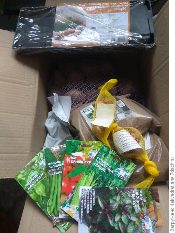 Содержимое посылки