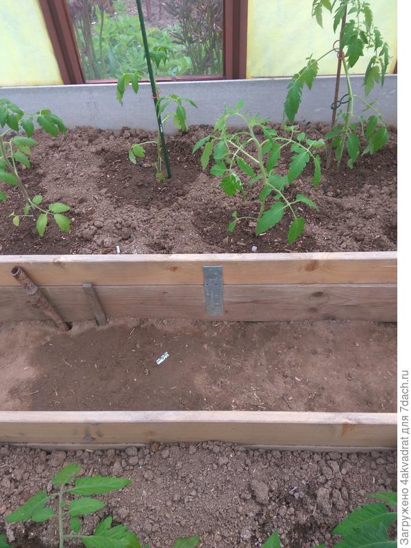 Обрати внимание на задний фон фото.