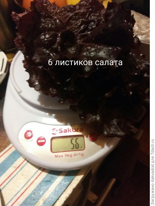 ггг