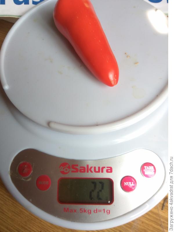 Самый крупный