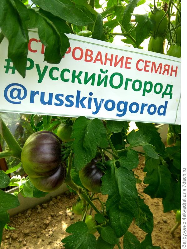 Изменение окраски
