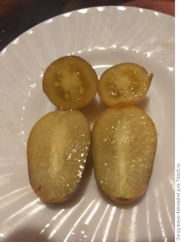 Сливовая капля в разрезе