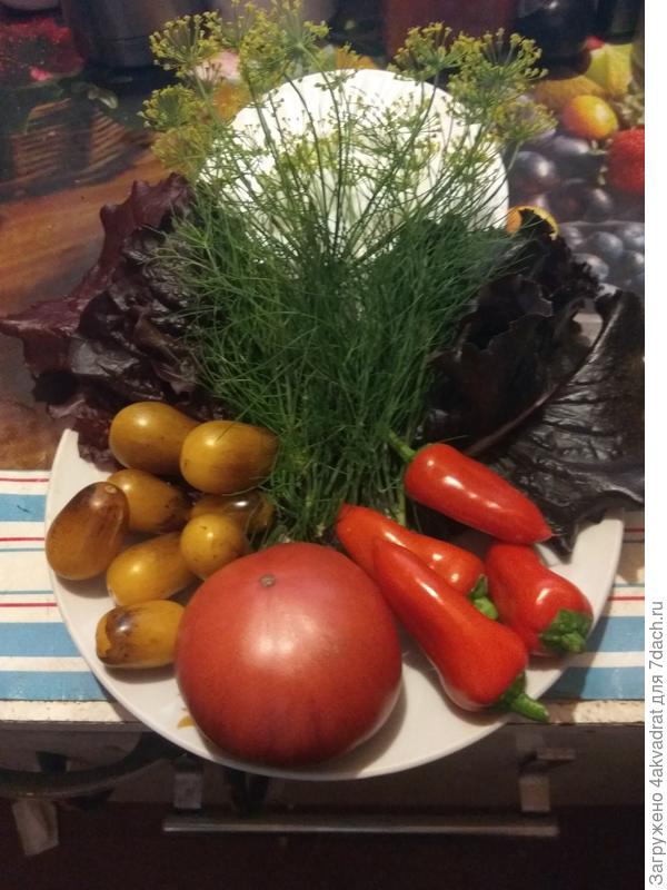 Тарелка с тестируемыми овощами и зеленью.
