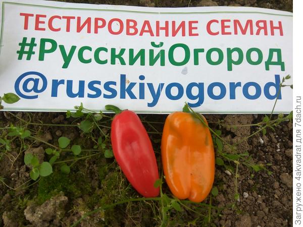 Очень дальние родственники