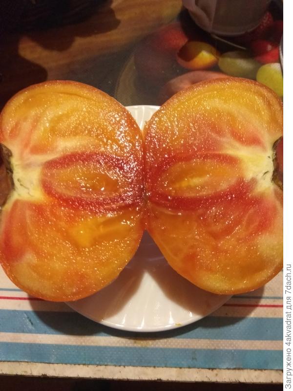 Медовый салют в разрезе