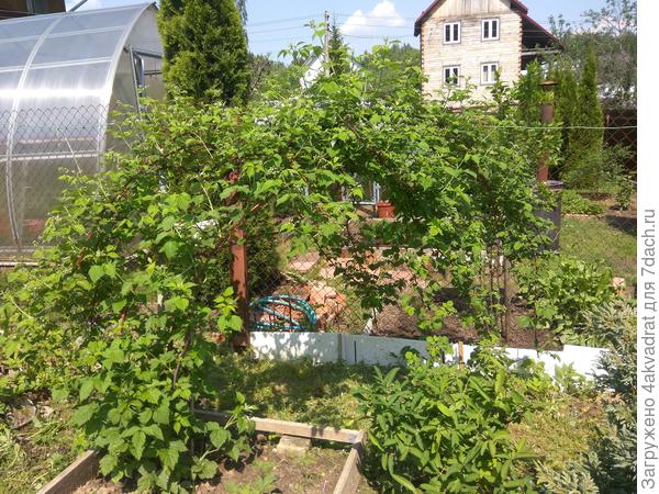 9 июня этого года