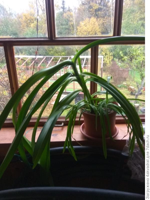 Так выглядит сейчас