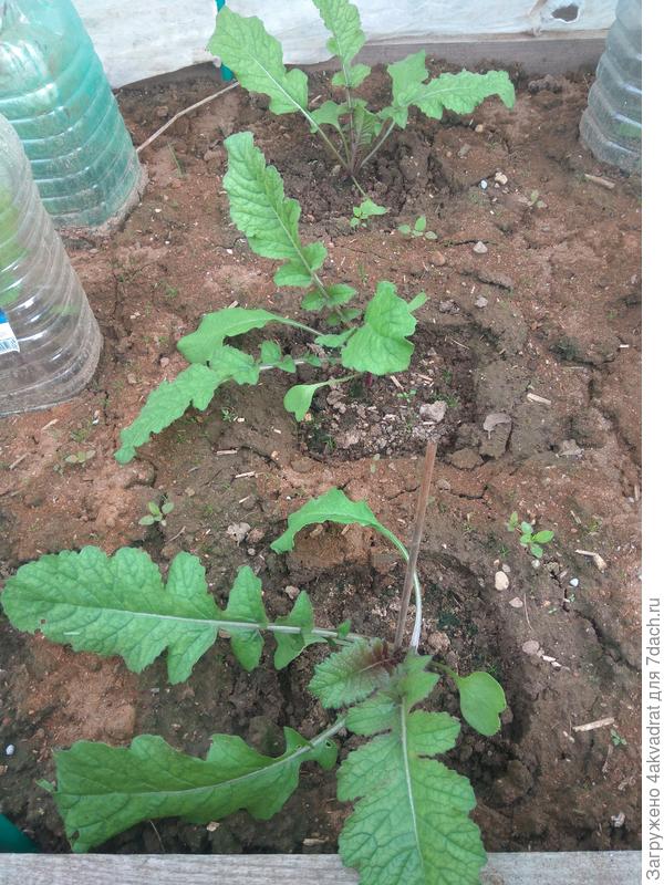 Пора банки снимать.