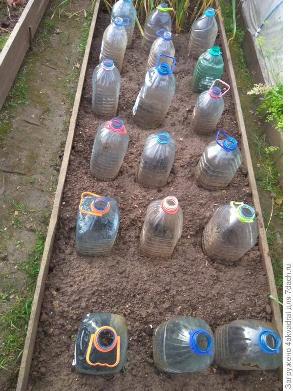 "Под крышей дома своего"